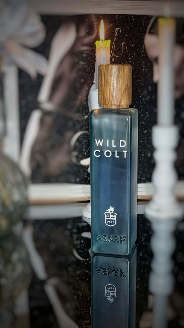 Assaf Wild Colt + Gris Erik IST COPY