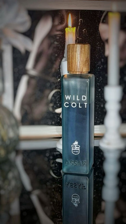 Assaf Wild Colt + Gris Erik IST COPY
