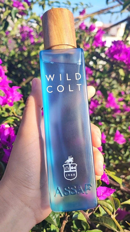 Assaf Wild Colt + Gris Erik IST COPY